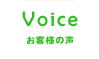 voice