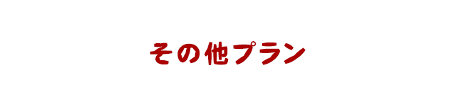 その他プラン・グレードUP