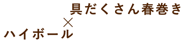 具だくさん春巻き×ハイボール